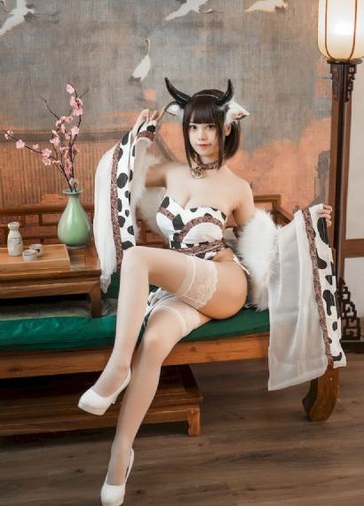 花房姑娘电视剧高清免费播放_蓝光超清在线观看